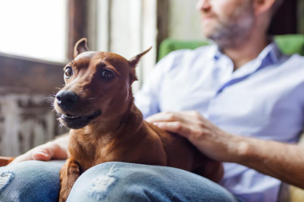 nome per il tuo cane