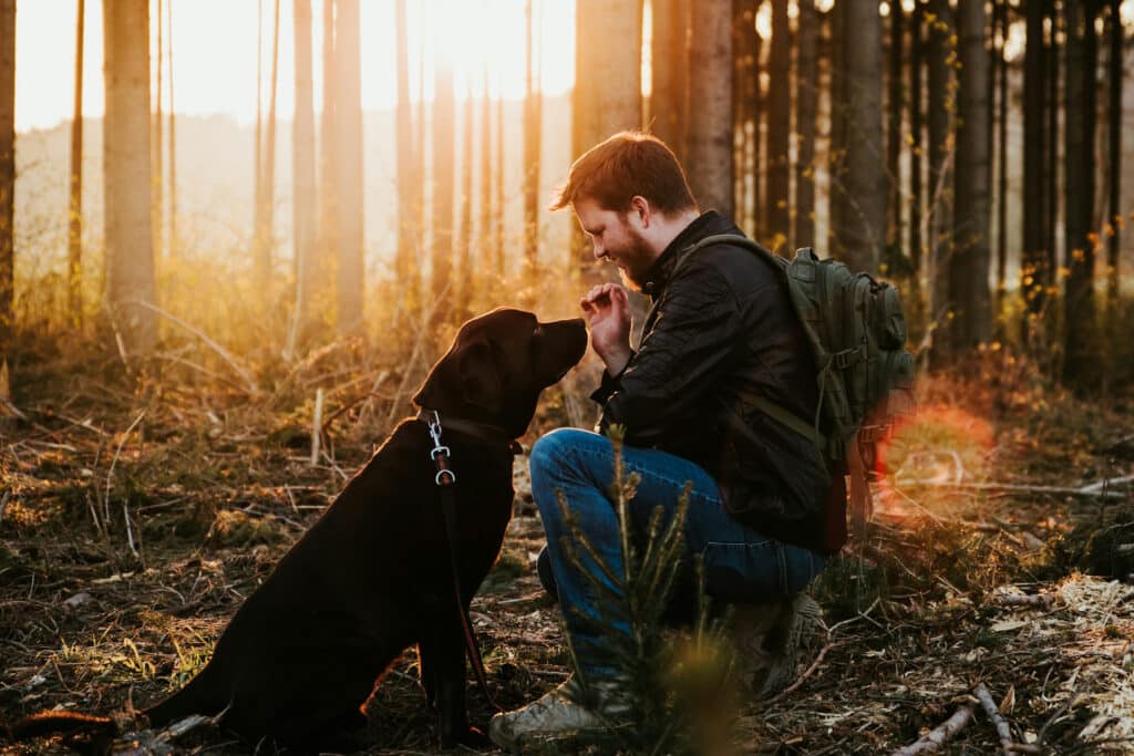 cane abitudini comunicazione