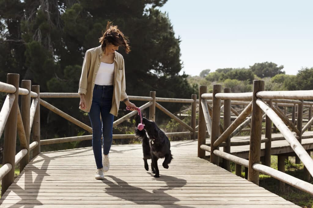cane abitudini movimento