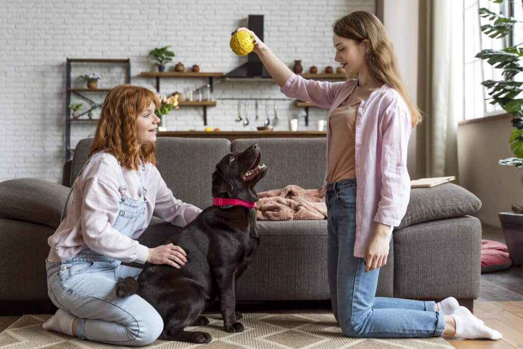 vacanze cane casa dog sitter