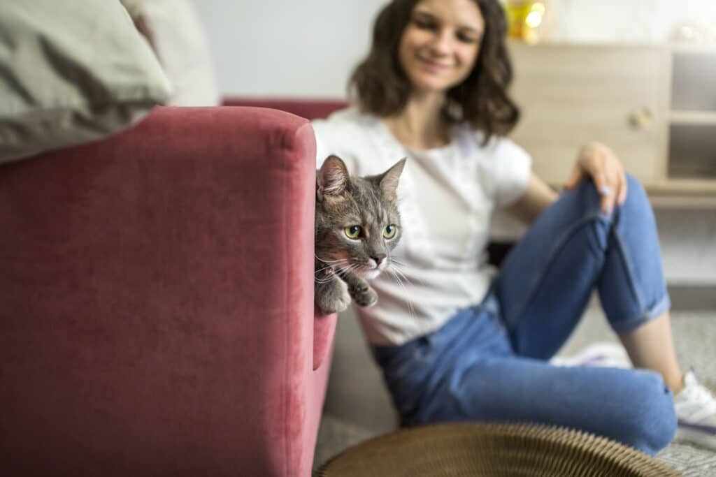 Vacanze e pet sitter