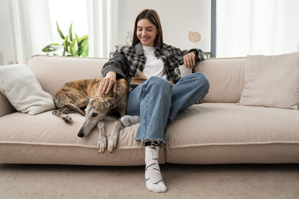 cane gatto routine abitudini