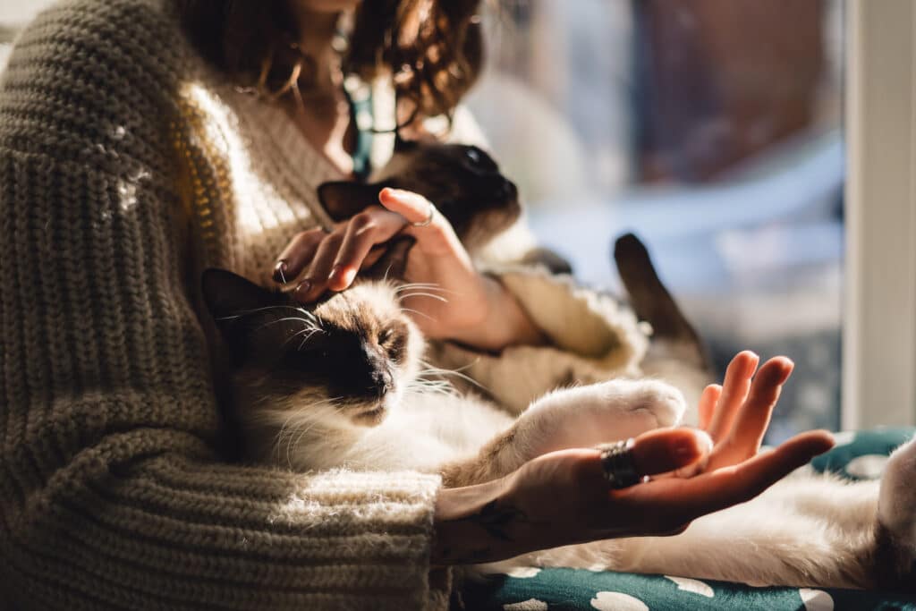 cane gatto tempo di qualita