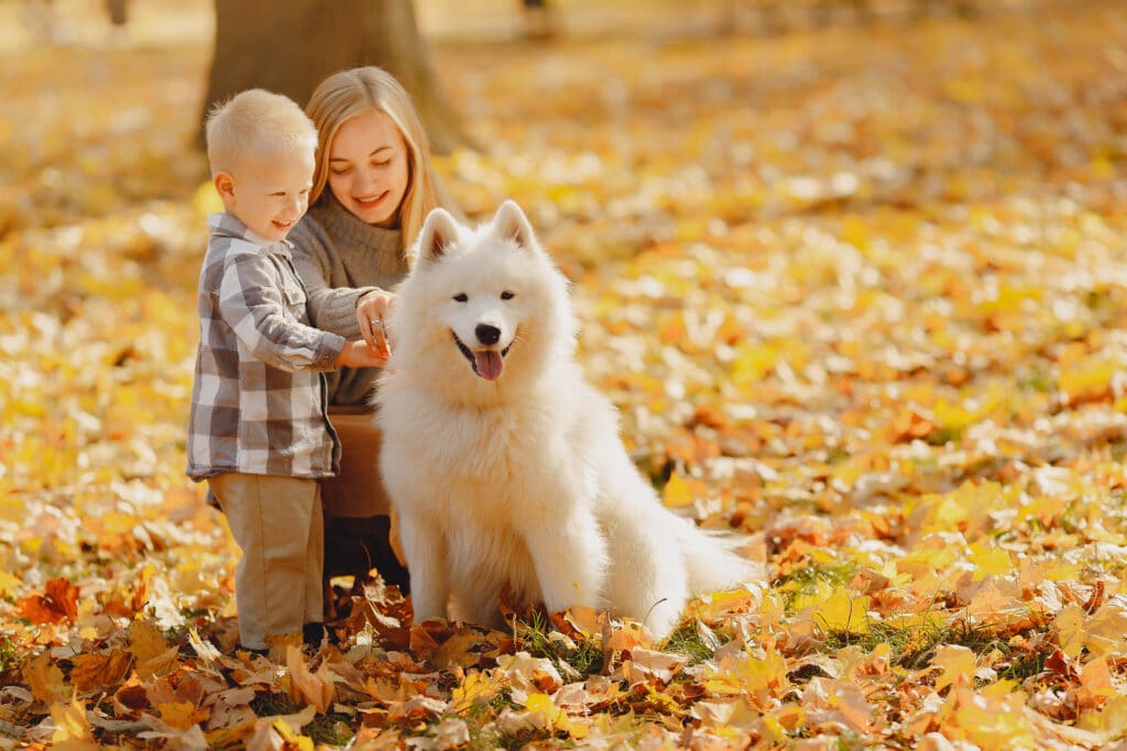 bambini e cani