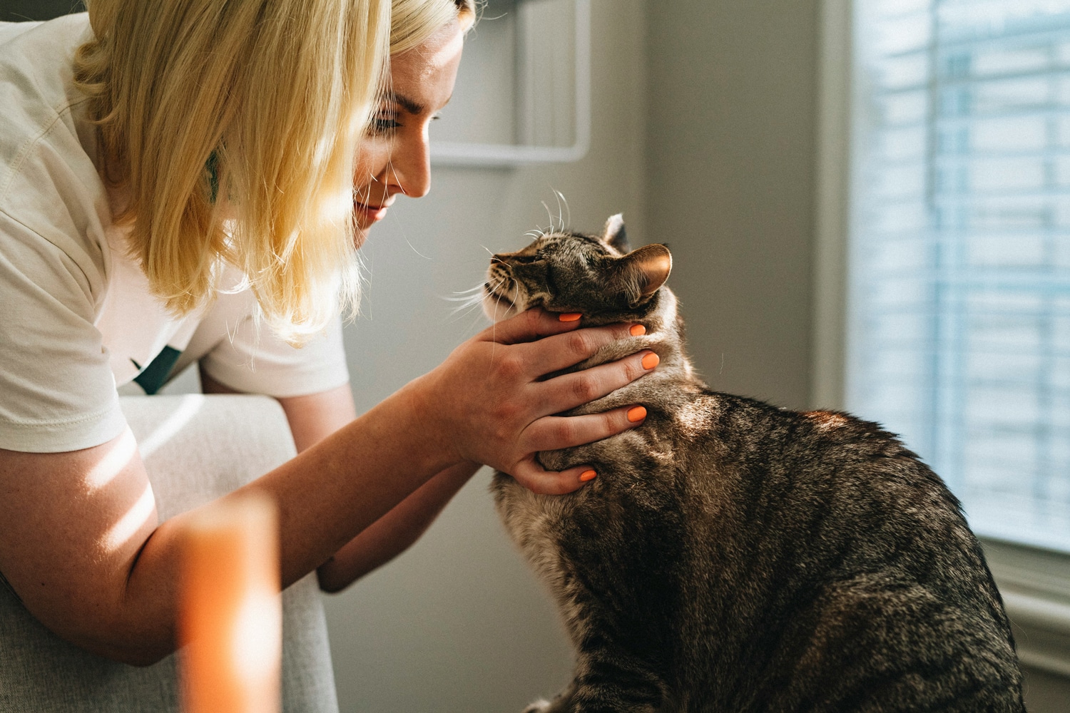 guida ai controlli veterinari